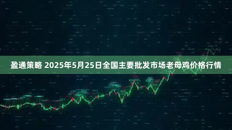 盈通策略 2025年5月25日全国主要批发市场老母鸡价格行情