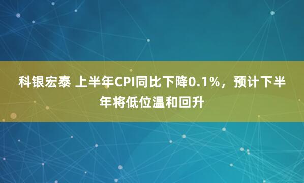 科银宏泰 上半年CPI同比下降0.1%，预计下半年将低位温和回升